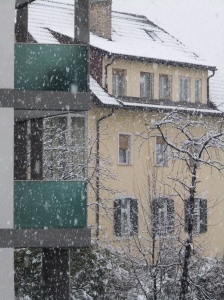 14.01. 2014 Schnee (1)